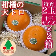 お試し規格 柑橘の大トロ ハウス せとか 厳選 中玉 2玉入 手さげ箱 × 2箱 南泰園 和歌山 有田 	BS192