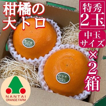 お試し規格 柑橘の大トロ ハウス せとか 厳選 中玉 2玉入 手さげ箱 × 2箱 南泰園 和歌山 有田 BS192