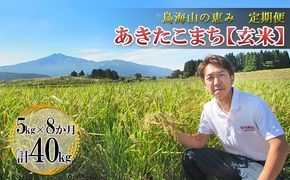 米 お米 【定期便】5kg×8ヶ月 鳥海山の恵み 農家直送！ あきたこまち（玄米） 8カ月 8回 サブスク