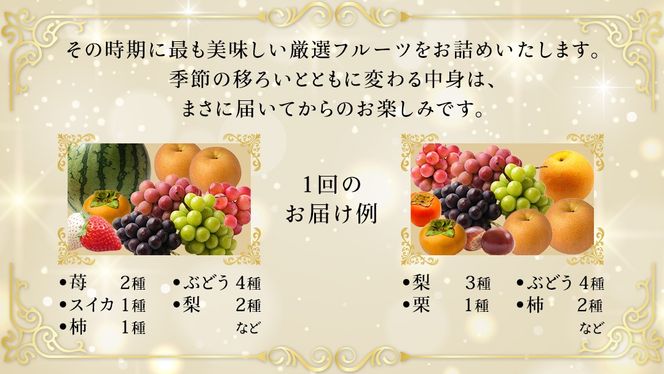 ＼お届け回数が選べる／ 【化粧箱入り2段】厳選フルーツ 10〜12種プレミアムセット 単品・定期便（茨城県共通返礼品） 田舎の頑固おやじが厳選！ 人気 厳選 果物 くだもの 旬 旬の果物 旬のフルーツ 上級品 極上 贅沢 極み フルーツ フルーツセット ギフト プレゼント 贈り物 冷蔵