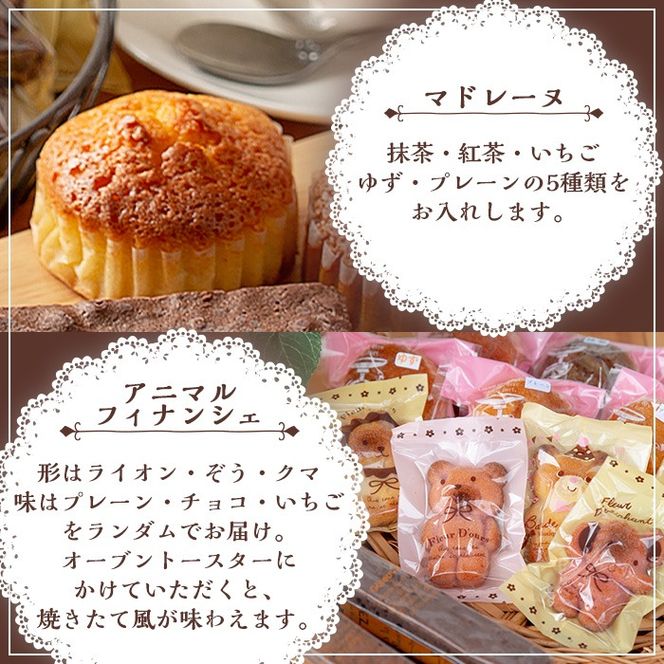 【11689】スティックブラウニー(2種・計4本)とアニマルフィナンシェ(5個)とマドレーヌセット！(5種・計6個)お菓子 スイーツ 洋菓子 焼き菓子 個包装 小分け おやつ かわいい【Felice Regalo】