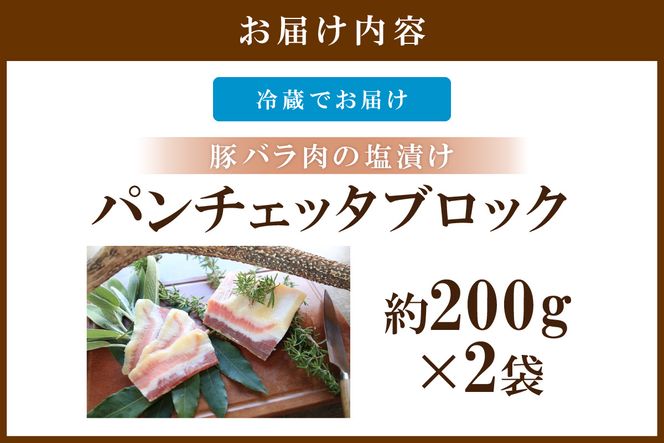 パンチェッタブロック（豚バラ肉の塩漬け）　約200g×2袋　NI00021