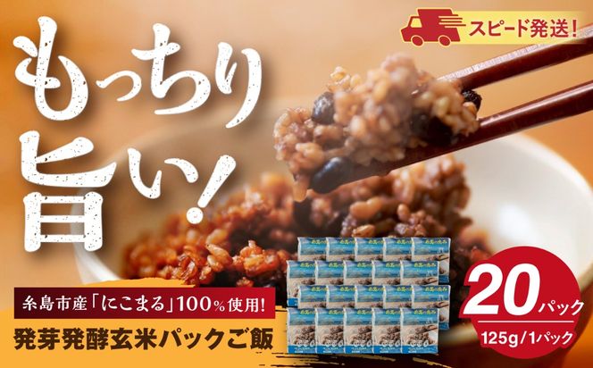発芽発酵玄米パックご飯 125g×20パック 糸島市産 糸島市 / 糸島の恵み ごはん 米[AGR007]