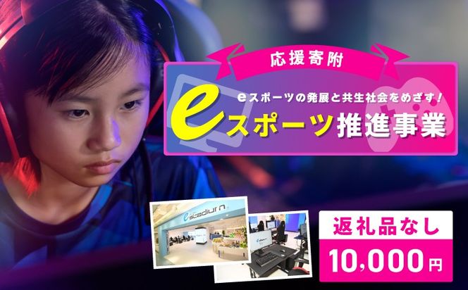 ON0012 【返礼品なし】eスポーツの発展と共生社会を実現をめざす！eスポーツ推進応援寄附（大阪府泉佐野市）　
