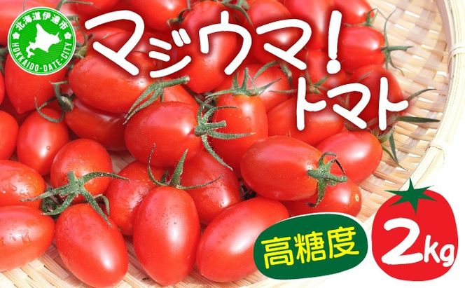 ykCɒBszy2026Ns\zkC ɒB {| ~jg}g x 2kgy}WE}Ig}gz