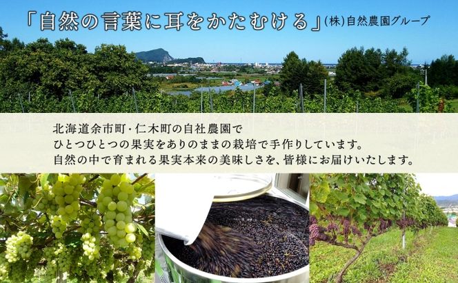 無地熨斗 ナイアガラ ポートランド ブドウ ワイン 720ml 2本 飲み比べ セット 熨斗付き 葡萄 ぶどう お酒 アルコール 白ワイン 辛口 お取り寄せ ギフト gift 御中元 お中元 熨斗 のし 自然農園 果実酒 