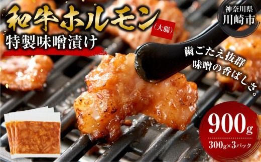 ホルモン 大腸 味噌漬け 900g ( 300g × 3 ) 歯ごたえ抜群 小分け 使いやすい 味付き 調理便利 焼肉 野菜炒め ホルモン炒め 訳あり 不揃い 和牛 冷凍 配送時期が選べる 個包装 冷凍保存 アウトドア キャンプ おすすめ 人気
