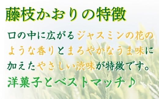 お茶 ペットボトル 緑茶 藤枝かおり 350ml × 24本 静岡茶 2ケース 茶葉 おちゃ 箱 まとめ買い 飲料水 常備 防災 飲み物 飲料 備蓄 保存 災害 静岡県 藤枝市