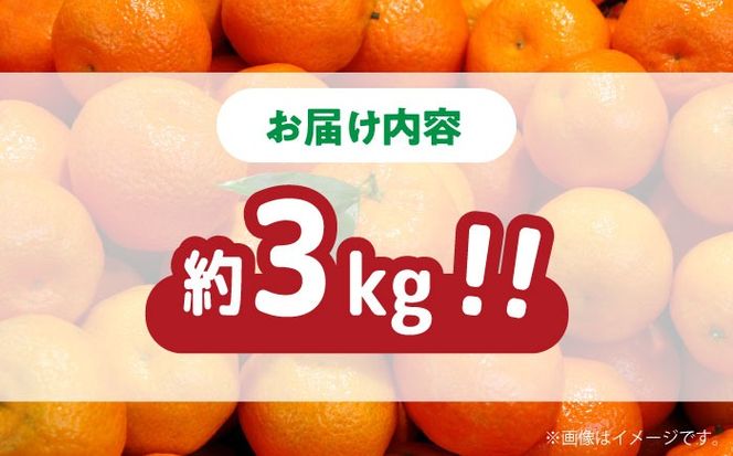 【高糖度】温州みかん 約3kg / みかん ミカン 蜜柑 果物 フルーツ / 南島原市 / 南島原果物屋[SCV021]