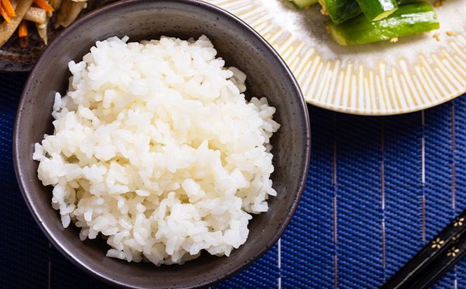 どぶろく工房香南 新米 コシヒカリ 約５㎏(令和7年8月収穫) - 国産 高知県産 精米 白米 お米 米 こめ コメ こしひかり ご飯 ごはん おにぎり 食品 どぶろく工房香南 高知県 香南市 常温 db-0039