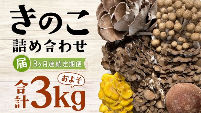 【 3ヶ月連続定期便 】きのこ の 詰め合わせ Sサイズ ( 約1kg ) （茨城県共通返礼品：城里町） キノコ セット 野菜 低カロリー ダイエット デトックス バラエティ セット 新鮮 [DY005us]