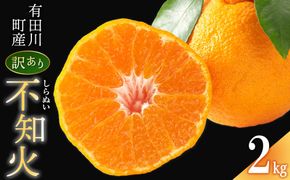 不知火(しらぬい) オレンジ みかん 訳あり 2kg サイズ混合 CE061