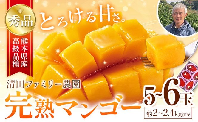 くまもと完熟マンゴー 5～6玉(約2kg～2.4kg前後) 熊本県玉名郡玉東町『清田ファミリー農園』マンゴー 完熟 秀品【日付指定不可】《5月下旬-8月末頃出荷》---gkt_kyfm_3_2kg---