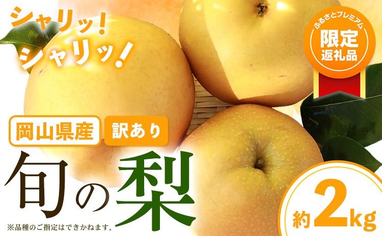 [ふるプレ限定品] 訳あり 旬の梨 約2kg 2〜5玉 [9月上旬-1月上旬頃発送]岡山県産 新高梨 愛宕梨---yakage_loc_20_p---