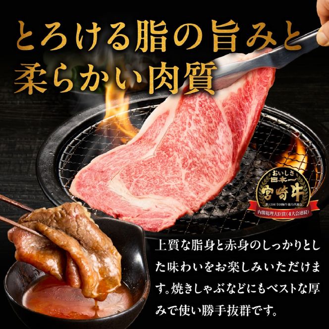 【A4等級以上】宮崎牛ロース焼肉用スライス 400g（内閣総理大臣賞 A4 A5 宮崎牛 牛肉 黒毛和牛 焼肉 ロース 宮崎県）