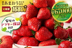 【定期便／3ヶ月連続お届け】アフター保証 博多あまおう 約280g×2パック 計3回 総量1.68kg 3カ月定期便【JAほたるの里】_HB0075