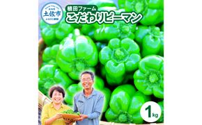 【先行予約】高知県産 植田ファームのこだわりピーマン 1kg〈2026年10月1日～2027年6月下旬〉 ピーマン 甘い 新鮮野菜 サラダ 野菜 おかず 詰め合わせ 絶品 お取り寄せ 美味しい 料理 おうちごはん 新鮮 高知県 土佐市【株式会社植田ファーム】[BQAT001]