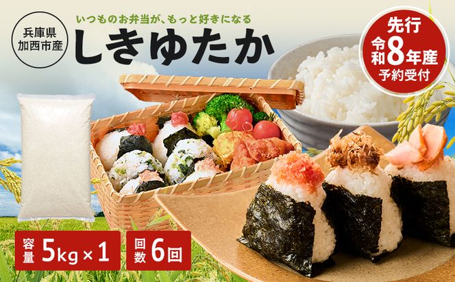 定期便 米 令和8年産 先行受付 しきゆたか 白米 5kg 6か月連続お届け お米 精米 単一原料米 お弁当 おにぎり 冷めても美味しい 農業支援 就労者支援 日用品