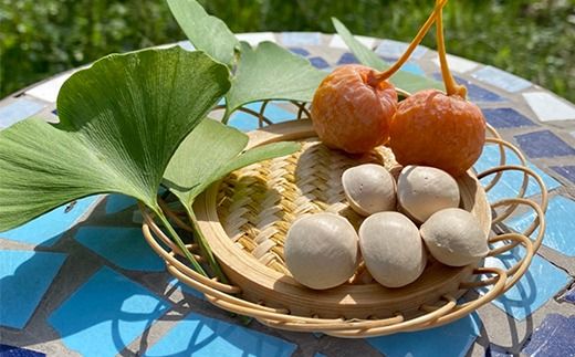 【早期予約】桃山ぶどう園の『ぎんなん(殻付き)』Mサイズ　約1kg　※北海道・沖縄・離島への配送不可　※2024年11月上旬頃より順次発送予定