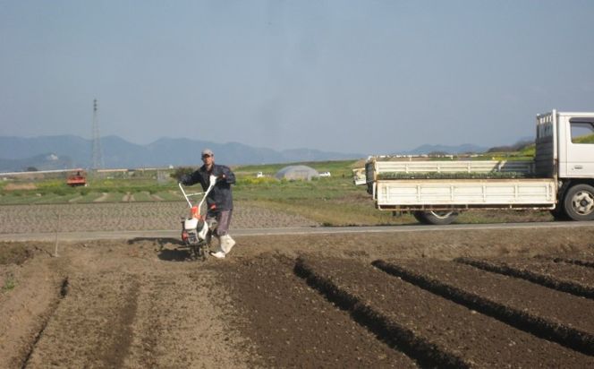 定期便 3回 米 5kg 季節野菜 セット 精米 ゆめつくし お米 詰合せ 上白米 低温保存米 お野菜セット 