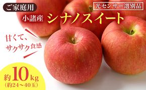 りんご シナノスイート 家庭用 約10kg  フルーツ 果物 甘い 訳あり おいしい 林檎