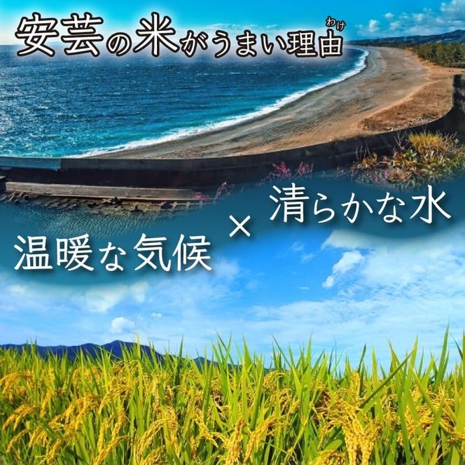 令和7年産 コシヒカリ 選べる 5kg 10kg お米 白米 精米 新米 数量限定 スピード発送 ごはん ご飯 高知県産 弁当 こしひかり おにぎり 料理 令和7年 R7年 美味しい 美味 うまい 甘み ツヤ 粒立ち 冷めても美味しい 土佐 自然豊か 温暖 清らかな水 山 丹精込めて育てた 食卓 家庭 贈り物 ギフト プレゼント 炊飯 おかず 和食 日本食 郷土料理 安芸市 高知県