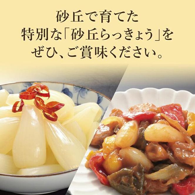 特別栽培らっきょうの甘酢漬（8袋セット） 312011_BT003