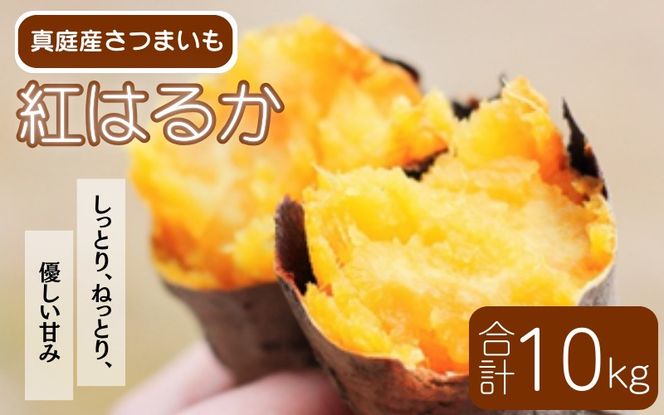 【2026年先行予約】蒜山の柴田さん家の紅はるか 10kg / さつまいも 紅はるか 岡山県 真庭市 蒜山 【sbta003-01】