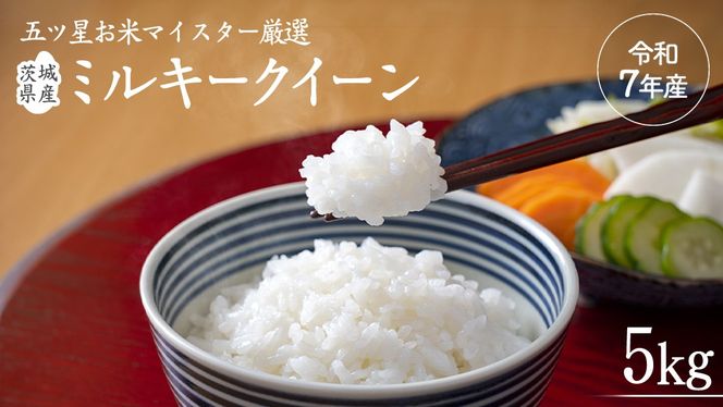 《 令和7年産 》 茨城県産 ミルキークイーン ( 5kg × 1袋 )  期間限定 米 コメ こめ 五ツ星 高品質 白米 精米 時短 単一米 [AC036us]