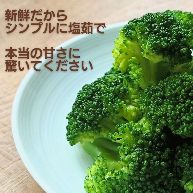 ブロッコリー 約2kg 朝採れ 当日 発送 新鮮 採れたて 産地直送 農家直送 国産 野菜 シャキシャキ 食感 茎 まで 甘い 栄養満点 ご家庭用 サラダ スープ お弁当 彩り野菜 旬 の 味覚 離乳食 食事管理中 に おすすめ 緑黄色野菜 冷凍 保存 可能 ストック 便利 人気 期間限定 旬 の 味覚 食卓 へ 愛媛県 愛南町 愛なんよ