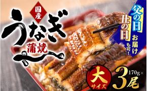 【大型サイズ】ふっくら柔らか 国産うなぎ蒲焼き 3尾/うなぎ ウナギ 鰻 うなぎ蒲焼 国産【uot303A-3】