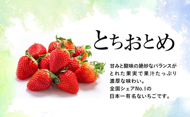 【先行予約】いちご あいか×おとめハーフ＆ハーフ 4パック ※2027年2月～発送