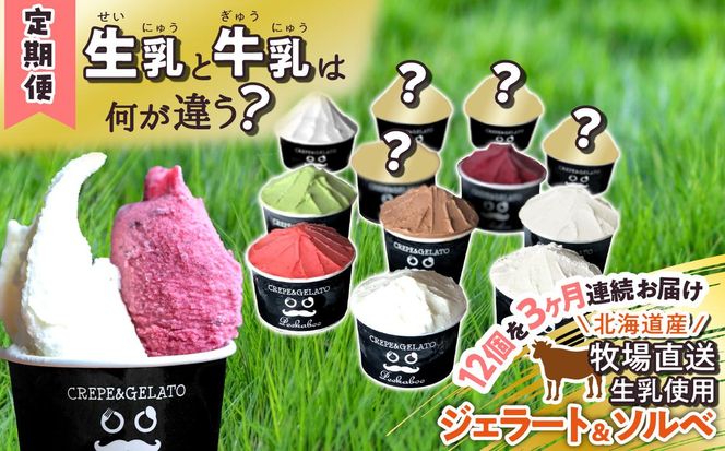 ＜3ヶ月定期便＞北海道産 生乳 ジェラート アイス 毎月12個  詰め合わせ ジェラートセット