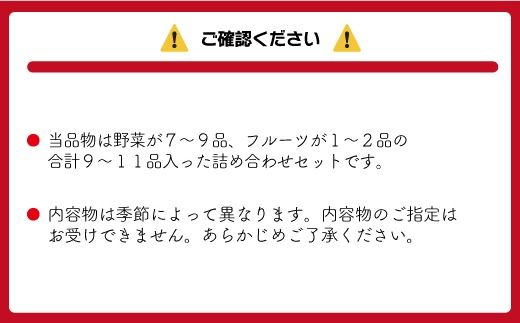 むなかた旬のお任せ セット(野菜・フルーツ)9～11品【JAほたるの里】_HA1570