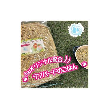 fuu ラブバードのごはん（800g）［145S63］