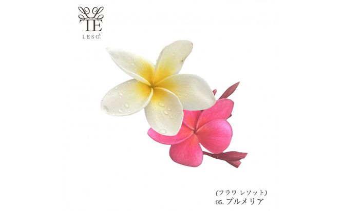 本物の花の香り リード・ディフューザー【プルメリア】 【 リード ディフューザー 花 香り 仙台市 アロマ インテリア フレグランス デザイン 室内 癒し 自然 空間 プレゼント ギフト エッセンシャルオイル リラックス 】 041009_HW001VC01