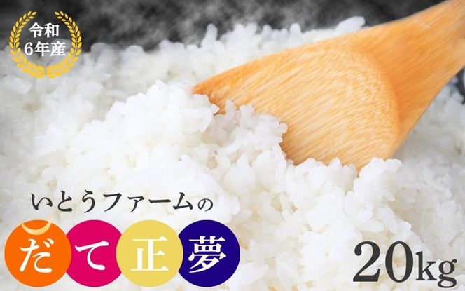 【宮城米の夢をかなえた極良食味品種】いとうファームの 令和6年産 「だて正夢」 20kg / 米 お米 精米 白米 ご飯 産地直送