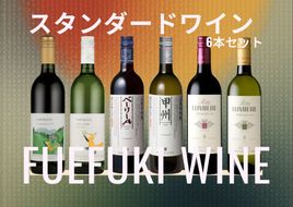 笛吹市　スタンダードワイン6本セット(2) 167-187