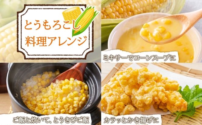 【 2026年 発送 】 北海道産 とうもろこし 味来 計24本 L-2L サイズ混合 大きめ みらい 旬 朝採り 新鮮 トウモロコシ 甘い 夏野菜 とうきび お取り寄せ 産地直送 野菜 しりべしや 送料無料 