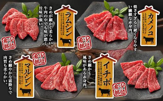 宮崎牛食べ比べ10種盛り焼肉セット≪みやこんじょ快速便≫_17-3102-R_(都城市) 都城産 宮崎牛 A4ランク 焼肉 セット 内モモ カタ トンビ ランプ ラムシン マルシン カメノコ イチボ マルカワ ミスジorトモサンカク 10種類 贈答用 14日以内にお届け  ギャル曽根さんおすすめの牛肉返礼品