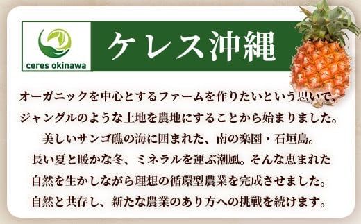 石垣島産パイン100％ジュース E-1-1