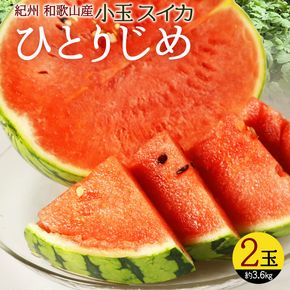 【先行予約】 小玉スイカ「ひとりじめ」 2玉 約3.6kg 紀州和歌山産