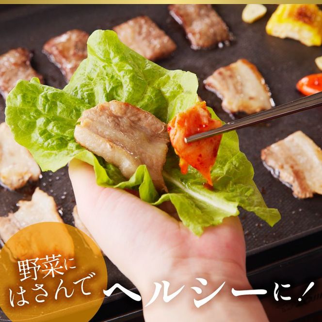 宮崎牛・宮崎ブランドポーク焼肉各500g　ファミリーセット　N023-YZC019