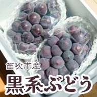 ＜25年発送先行予約＞黒系ぶどう2房(合計1kg程度)  229-005