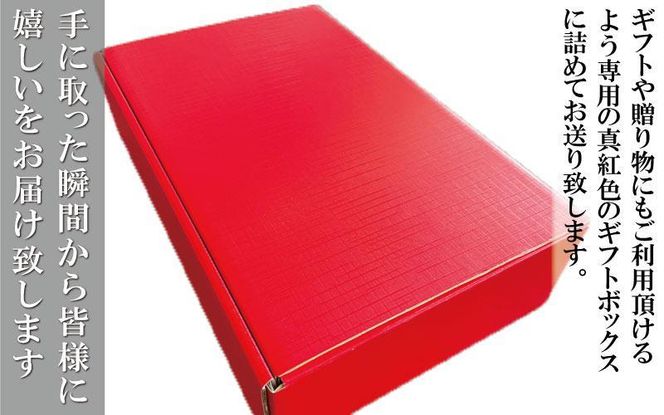 本格トルコ料理 オードブル 6名セット ケバブチキンステーキ ハンバーグ ピザ 焼き菓子 肉料理 鶏肉 温めるだけ 惣菜 お手軽 簡単 ギフト 贈り物 ホームパーティー 304018_AG21