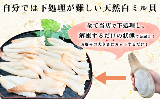 岬だより ＜貝専門店＞ 天然 白ミル貝 100g × 3袋 冷凍 新鮮 海鮮 鮮度 風味 魚介 貝 海の幸 お刺身 寿司 バター焼き ご飯 甘み おつまみ 酒 おすすめ 人気 愛知県 南知多町 三河湾 【離島不可】