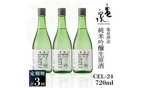 【3回定期便】純米吟醸生原酒 CEL-24 720ml 計2160ml ／ 生酒 毎月1本×3回 定期便 お酒 酒 さけ 日本酒 アルコール 生原酒 アルコール度数14度 14% 甘口 フルーティ【株式会社とさもん】