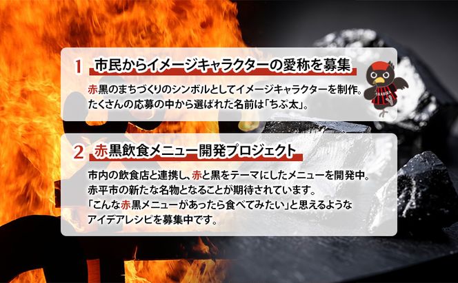 北海道 赤平市 寄附のみの応援受付 15,000円コース（返礼品なし 寄附のみ 15000円）