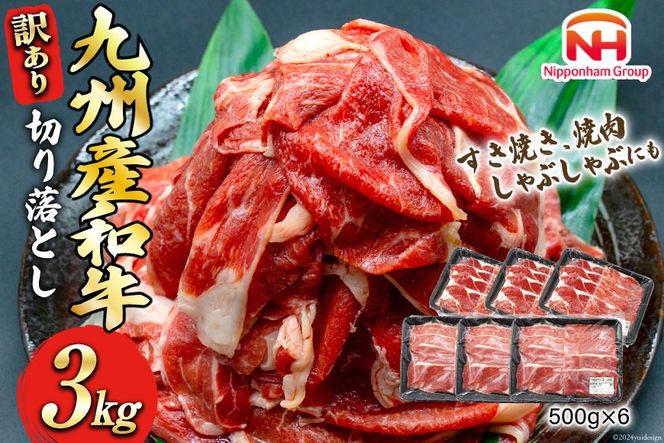 牛肉 訳あり 日本ハム 九州産 和牛 切り落とし 500g 6p 計 3kg [日本ハムマーケティング 宮崎県 日向市 452061136] 冷凍 小分け 個包装 牛 すき焼き もも肉 モモ肉 牛バラ 牛肩