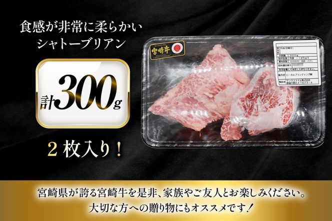 牛肉 宮崎牛 希少部位 シャトーブリアン 2枚 計300g [ローカルブランディング 宮崎県 日向市 452061396] 冷凍 黒毛和牛 黒毛 A4 A5 国産 ステーキ
